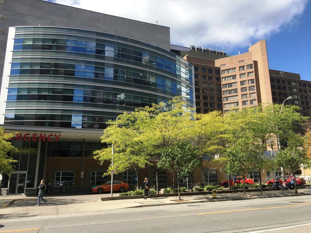 Canada Suites On Bay, Established 1998 Toronto Luaran gambar